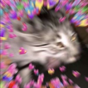 Meet your Posher, Zoe